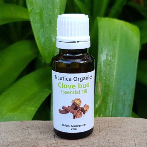 Clove Bud Oil